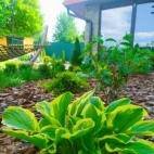 377533317_1753644358420414_1435543987031984150_n