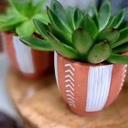 382002567_122123317172026109_2494602858428527400_n