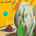 kupa słonia