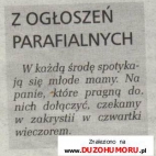 Z ogłoszeń parafialnych