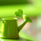 100 Amazing Mixed Wallpapers {Pack -348} (4)