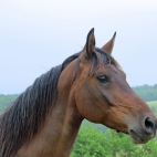 100 Amazing Mixed Wallpapers {Pack -348} (7)