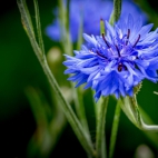 100 Amazing Mixed Wallpapers {Pack -348} (11)