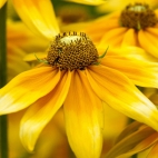 100 Amazing Mixed Wallpapers {Pack -348} (12)