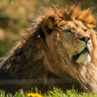 100 Amazing Mixed Wallpapers {Pack -348} (14)