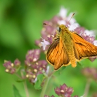 100 Amazing Mixed Wallpapers {Pack -348} (16)