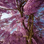 100 Amazing Mixed Wallpapers {Pack -348} (26)