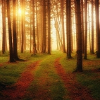 100 Amazing Mixed Wallpapers {Pack -348} (27)