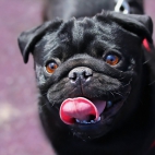 100 Amazing Mixed Wallpapers {Pack -348} (30)