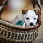 100 Amazing Mixed Wallpapers {Pack -348} (32)