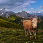 100 Amazing Mixed Wallpapers {Pack -348} (44)