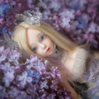 100 Amazing Mixed Wallpapers {Pack -348} (48)