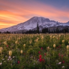 100 Amazing Mixed Wallpapers {Pack -348} (64)