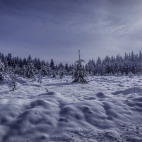 100 Amazing Mixed Wallpapers {Pack -348} (69)