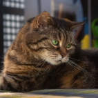 100 Amazing Mixed Wallpapers {Pack -348} (71)