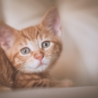 100 Amazing Mixed Wallpapers {Pack -348} (73)