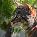 100 Amazing Mixed Wallpapers {Pack -348} (74)