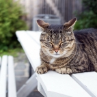 100 Amazing Mixed Wallpapers {Pack -348} (78)