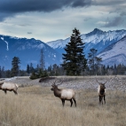 100 Amazing Mixed Wallpapers {Pack -348} (91)