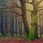 100 Amazing Mixed Wallpapers {Pack -348} (92)