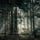 100 Amazing Mixed Wallpapers {Pack -348} (96)