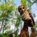 100 Amazing Mixed Wallpapers {Pack -348} (97)