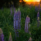 100 Amazing Mixed Wallpapers {Pack -348} (98)