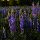 100 Amazing Mixed Wallpapers {Pack -348} (100)