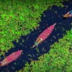 0e3814e326c2ccc09eee29eb7e0191cd_142