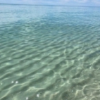 1b09a270b014e6f59855927bb6de4609_142