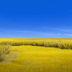 60704b33d8c63e9867a665b3026a58c2_900