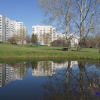 372915666_140309429133699_1493095612463385534_n