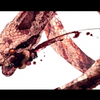 100 Amazing Mixed Wallpapers {Pack -329} (33)