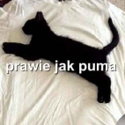 puma xd :)