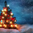 beautiful_christmas_tree-wide