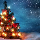 beautiful-christmas-tree-1366x768