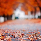 blured-autumn-road-1366x768