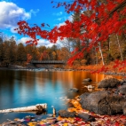 fall_foliage-1366x768