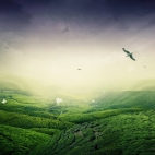 green_landscape-1366x768