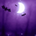 halloween_bats-wide