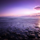 purple_seascape-1366x768