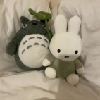 4d2f03272640d4fda071dcac72a333e1