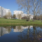 370263516_135241309655299_8093728586711471592_n