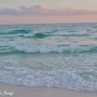 370265168_135241616321935_4020586730128662789_n