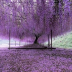 370309456_135241352988628_877704465618073860_n