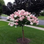 370437425_135241406321956_2124745212533877928_n