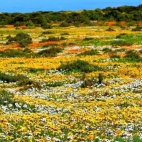 371480099_135241642988599_275587123010408681_n