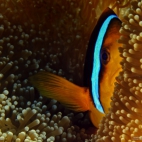 371762984_135242129655217_1497478472994359961_n