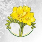 404463745_122108884184108301_334631952488778031_n