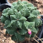 421977916_122131495268092888_6227677018970224619_n